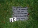 image of grave number 275123